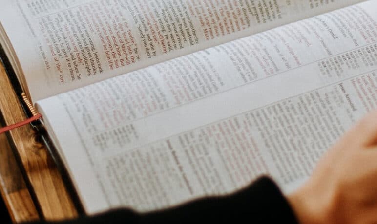 snel lezen thuiswerken