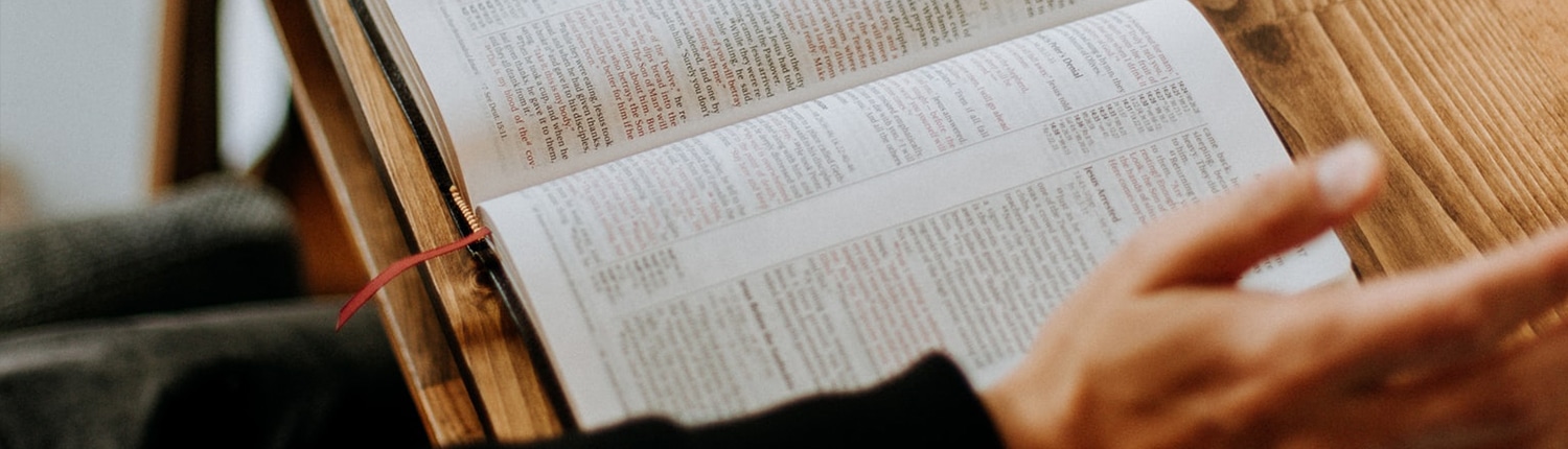snel lezen thuiswerken